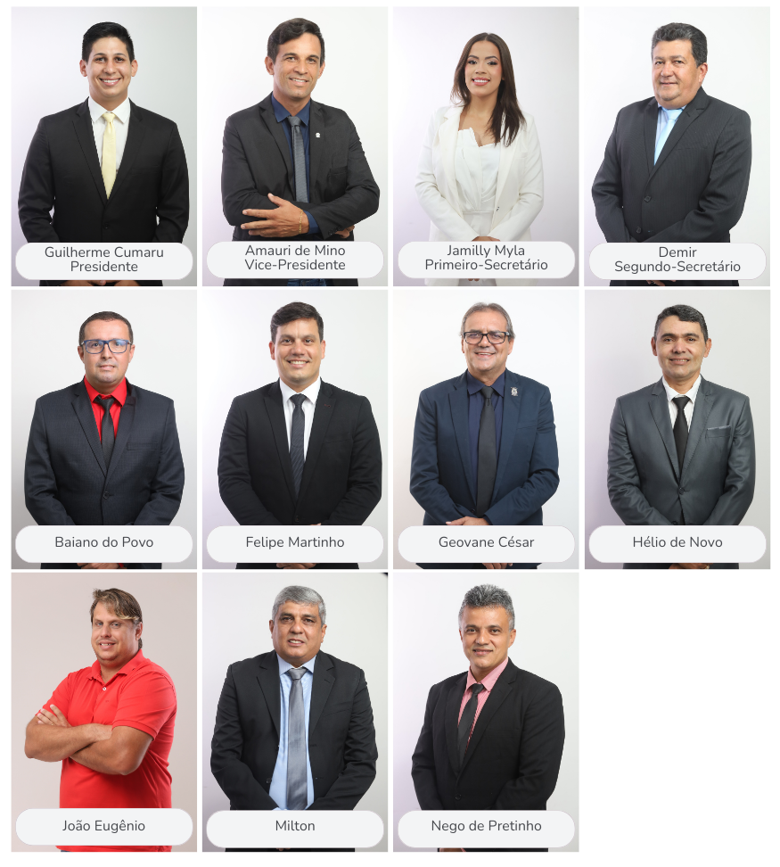 Vereadores 2025