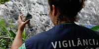 Pernambuco confirma 3ª morte por dengue; estado investiga 24.978 casos suspeitos da doença
